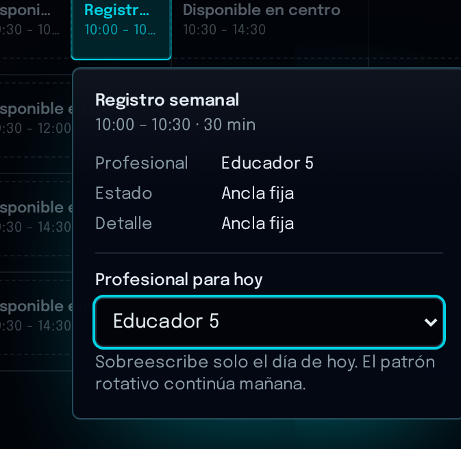 Detalle de una tarea rotativa en EduPlan con el selector Profesional para hoy